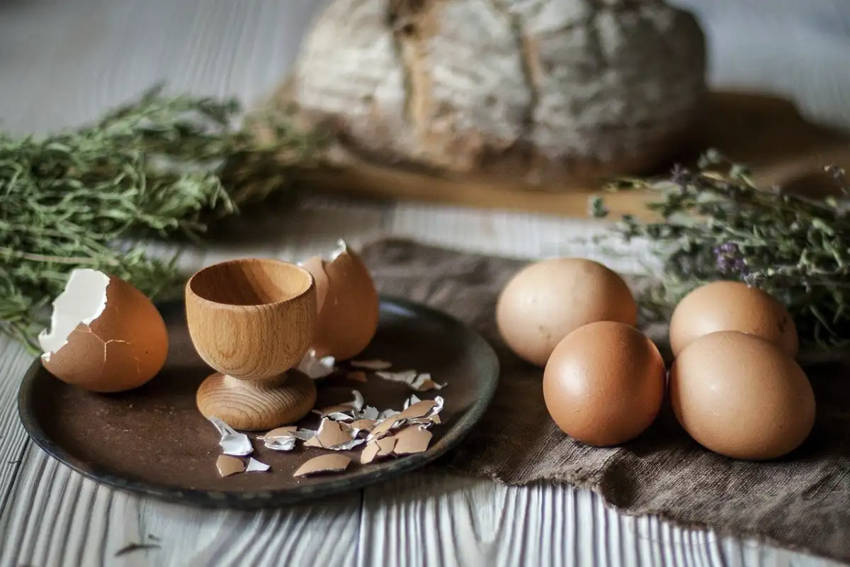 Æggeskaller: Sådan bruger du dem til gavn for dine planter